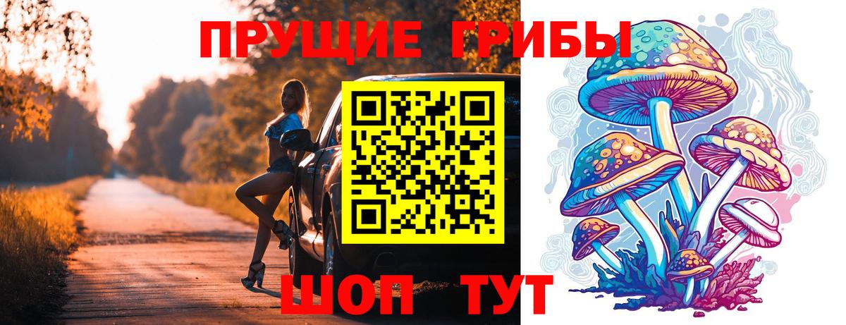 ГАШ Кудымкар