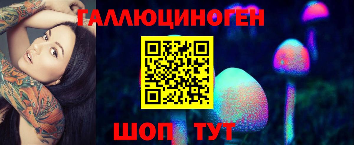 Псилоцибиновые грибы прущие грибы  Вход с VPN  Кудымкар 